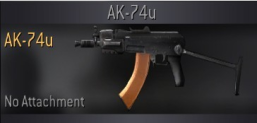 AK74u with ACOG Scope
